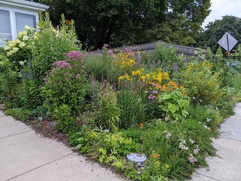 Pollinator Pathways