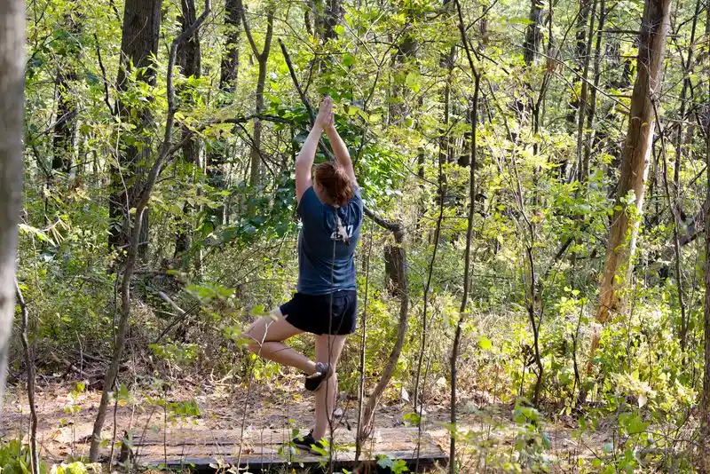 Practicing Forest Bathing