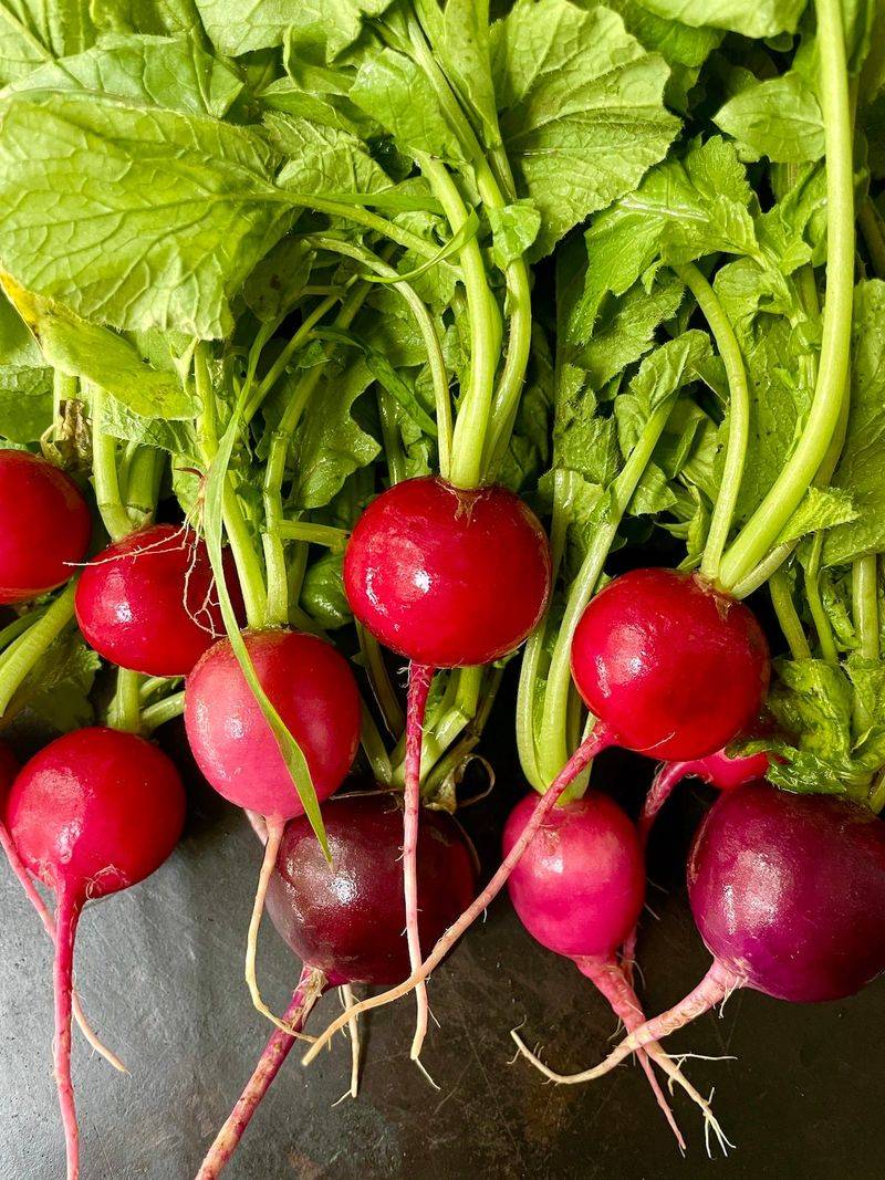 Radishes