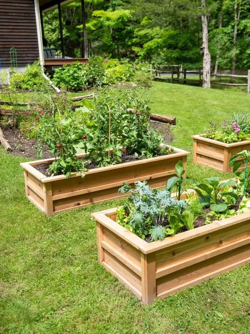 Raised Beds