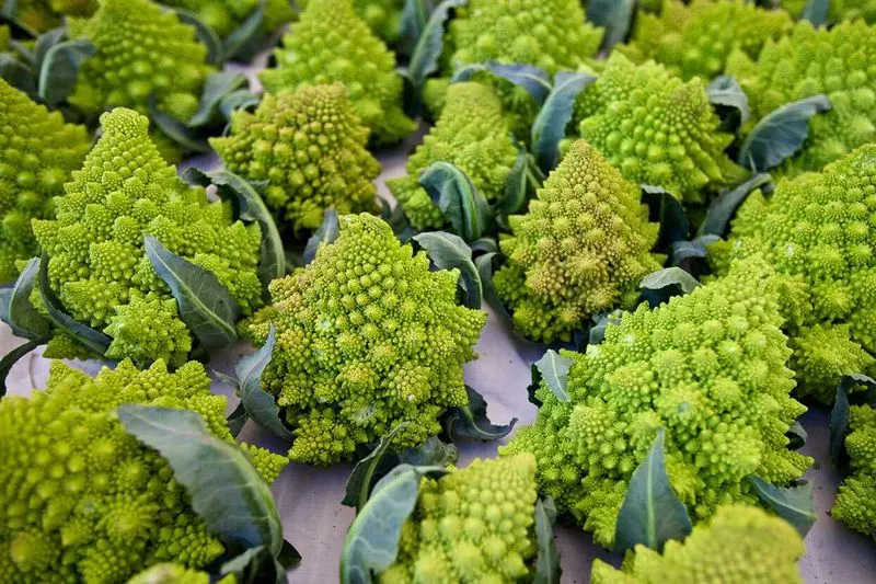 Romanesco