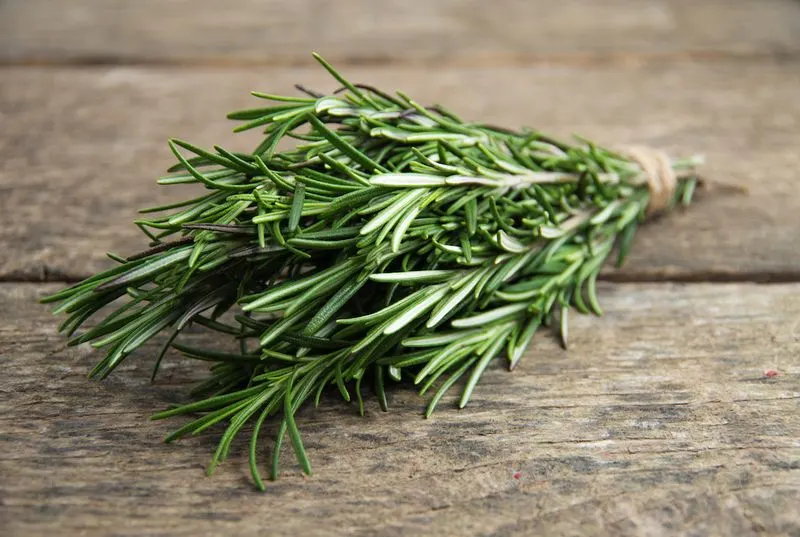 Rosemary