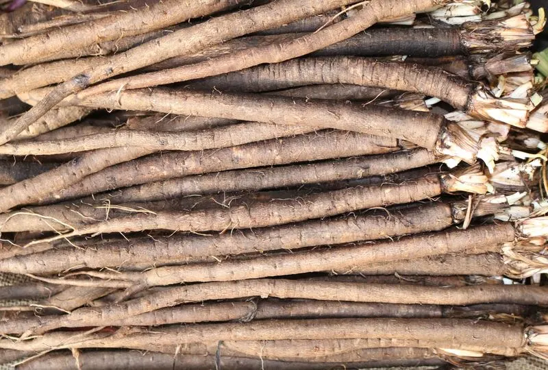 Salsify