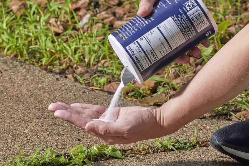 Salt Water Kills Weeds Safely