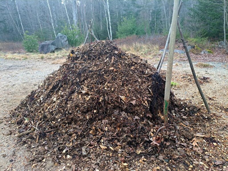 Seaweed Mulch