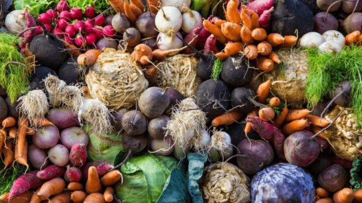 10 Secrets for Growing Perfect Root Vegetables Every Time