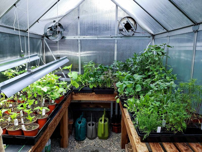 Setting Up a Greenhouse