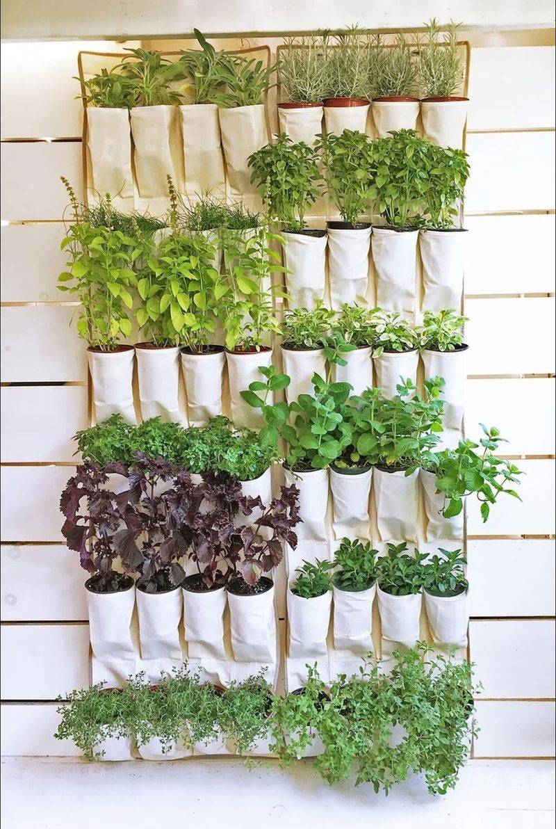 Shoe Organizer Garden