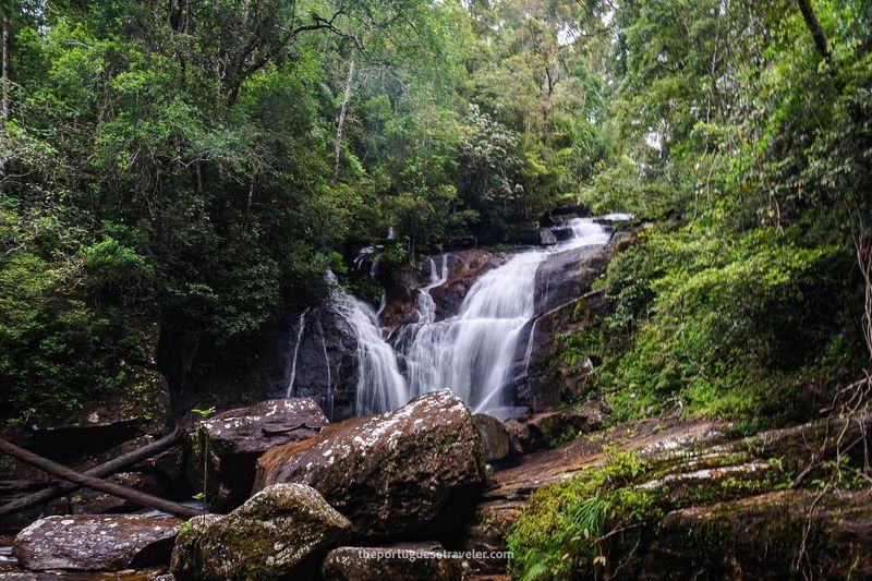 Sinharaja Forest Reserve, Sri Lanka