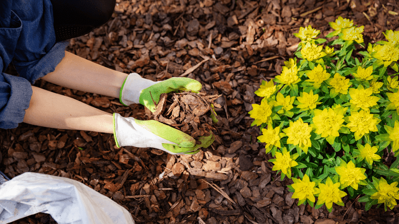 Skipping Mulching