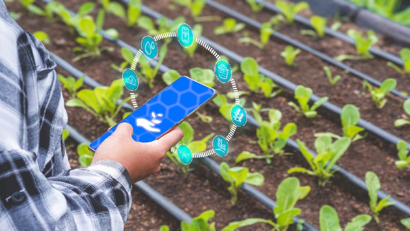 Smart Irrigation Systems