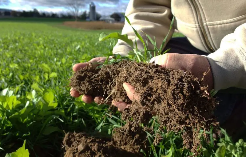 Soil Health Management