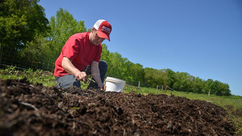 Soil Testing