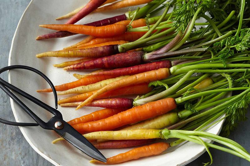 Storing Carrots Properly