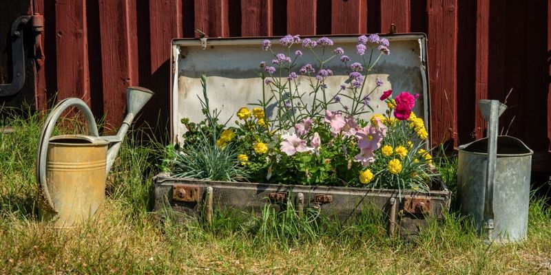 Suitcase Flower Bed