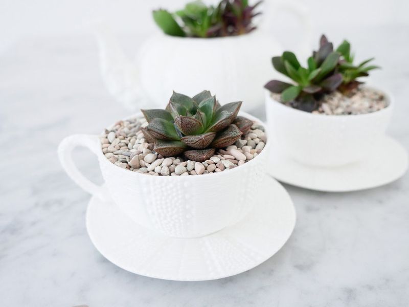 Teapot Mini Planter