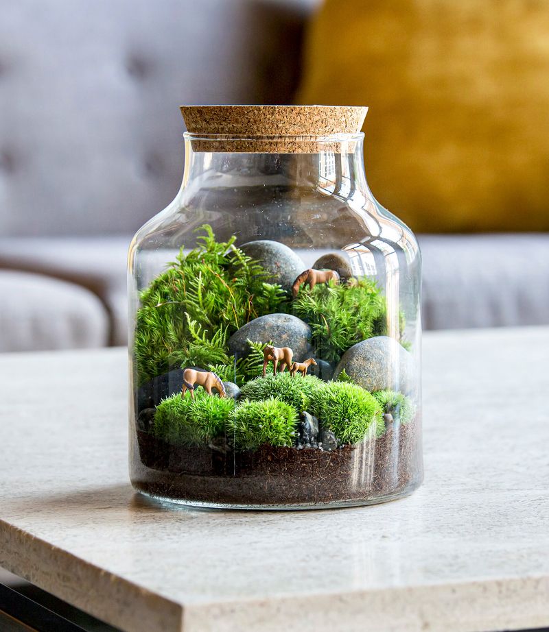 Terrarium Creation