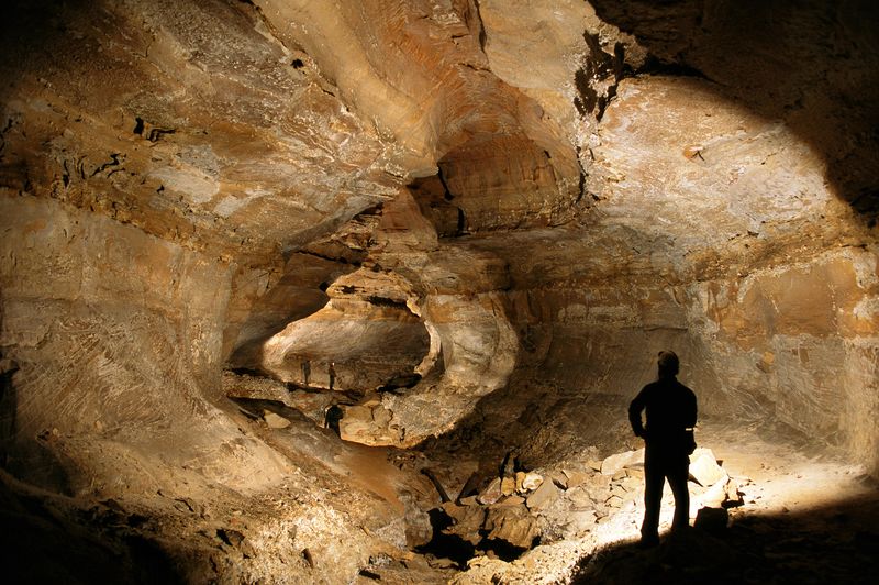 The Concealed Woods of Mammoth Cave