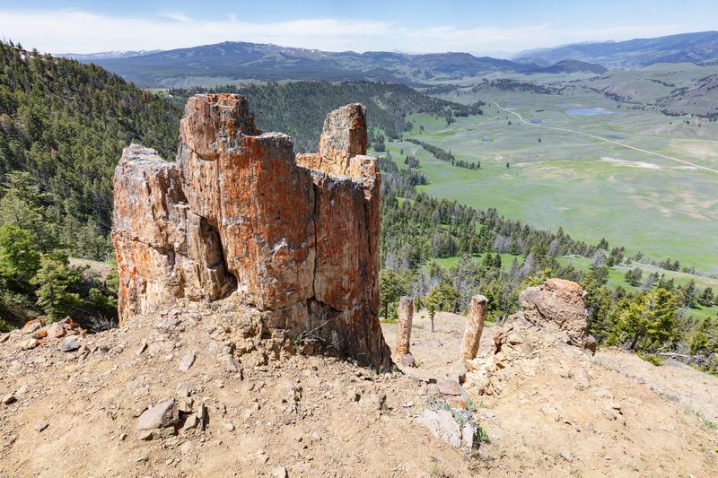 The Fossil Forests of Yellowstone