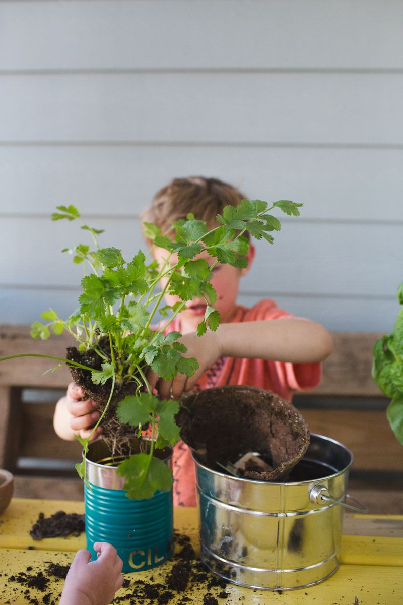 Tin Can Herb Garden