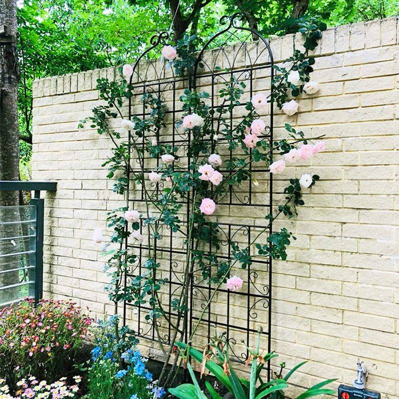 Trellis Climbing Garden