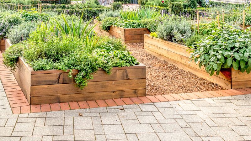 Use Raised Garden Beds