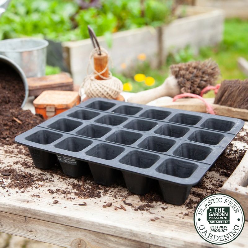 Using Seed Trays