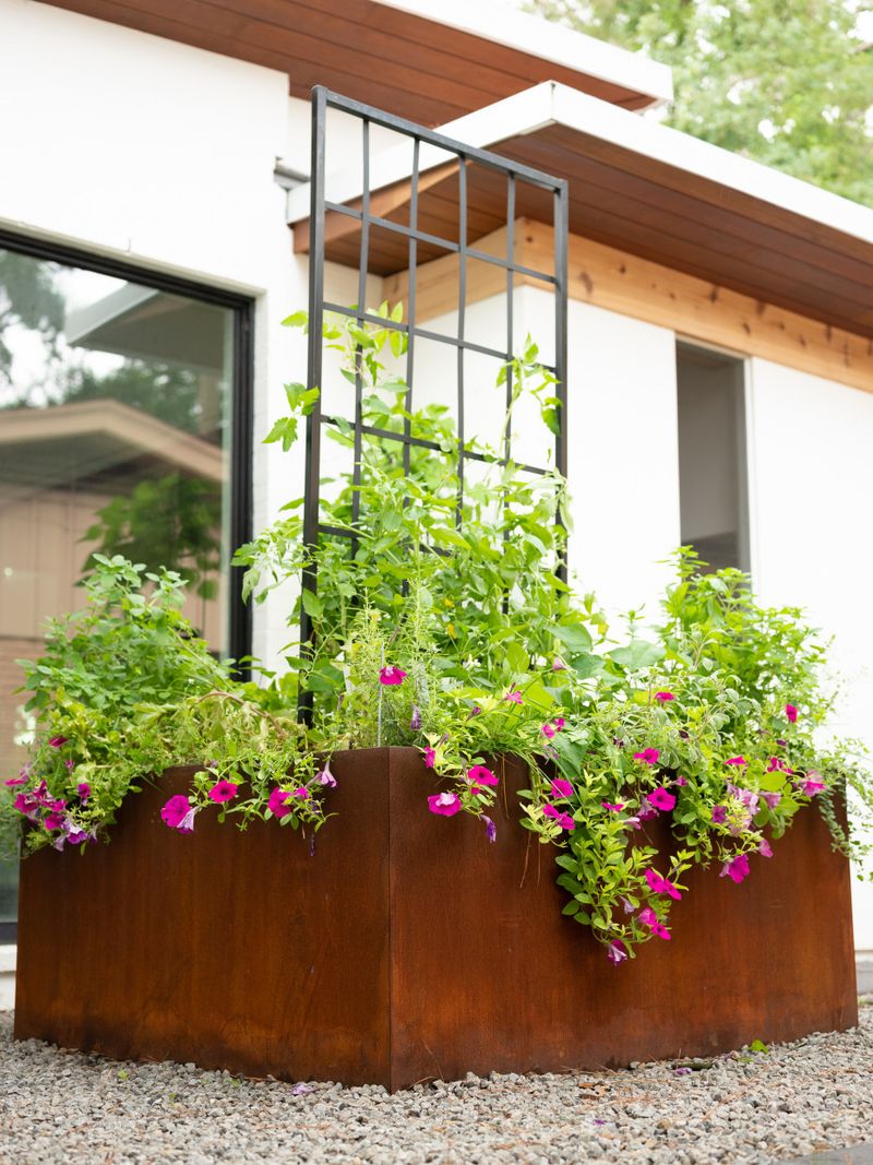 Utilize Trellises for Climbing Plants