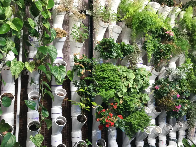 Vertical Pipe Garden