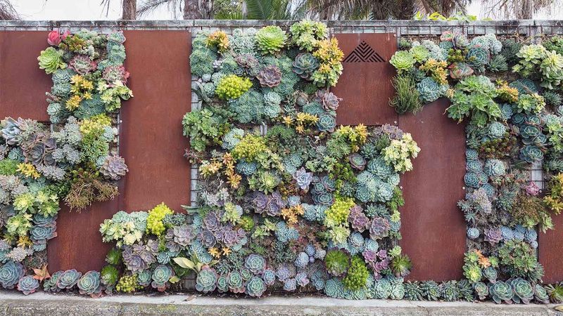 Vertical Succulent Garden