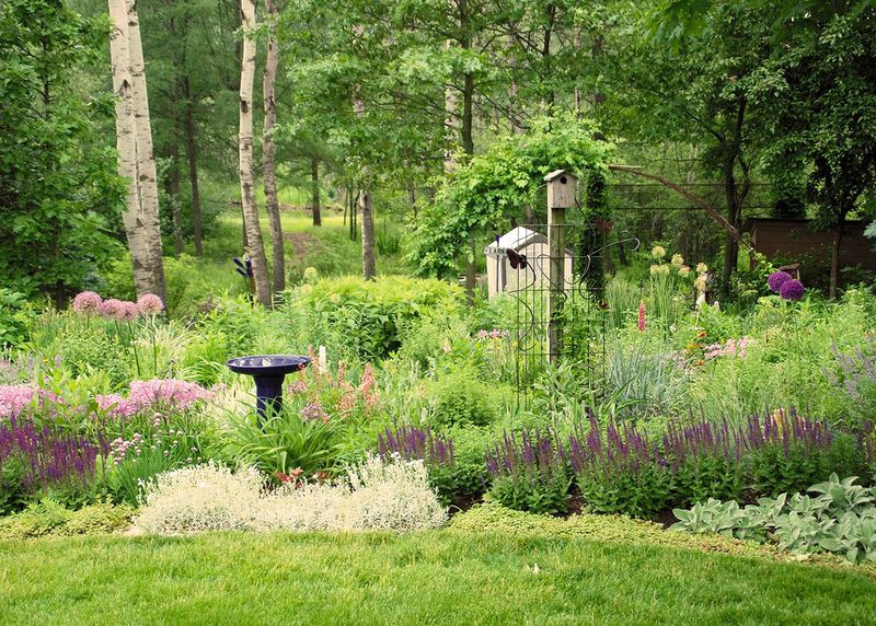 Wildlife-Friendly Gardens