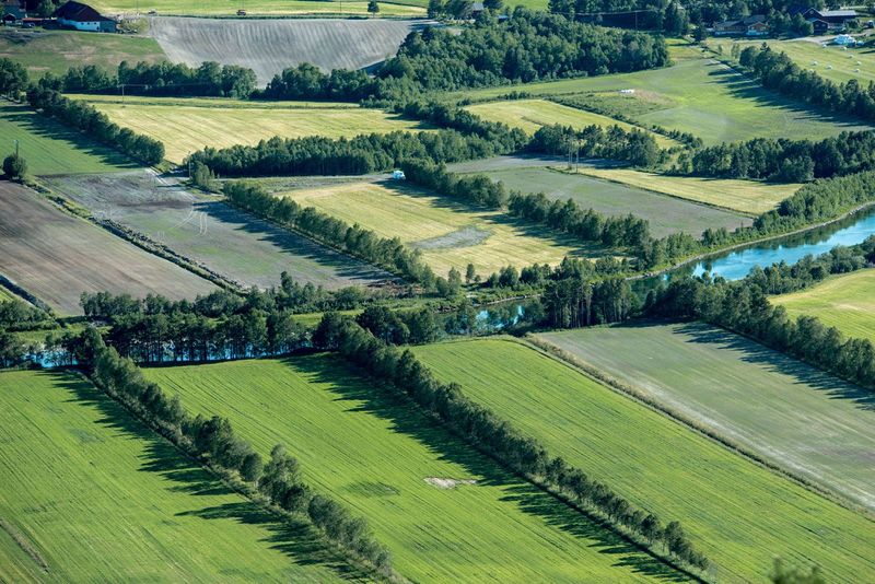 Windbreaks and Barriers