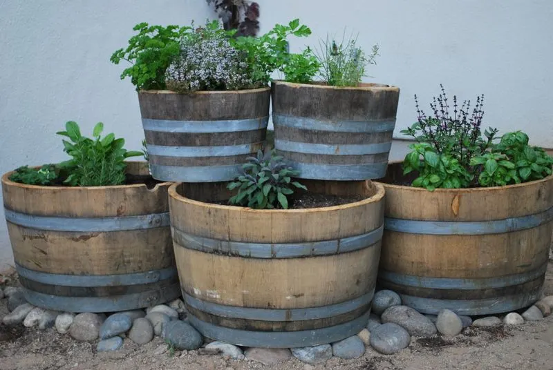 Wine Barrel Herb Garden