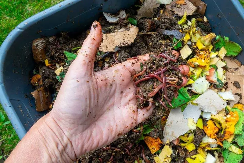 Worm Composting Bin