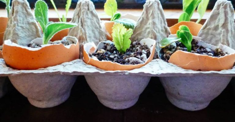 Save Time and Money With These 27 Easy Gardening Hacks