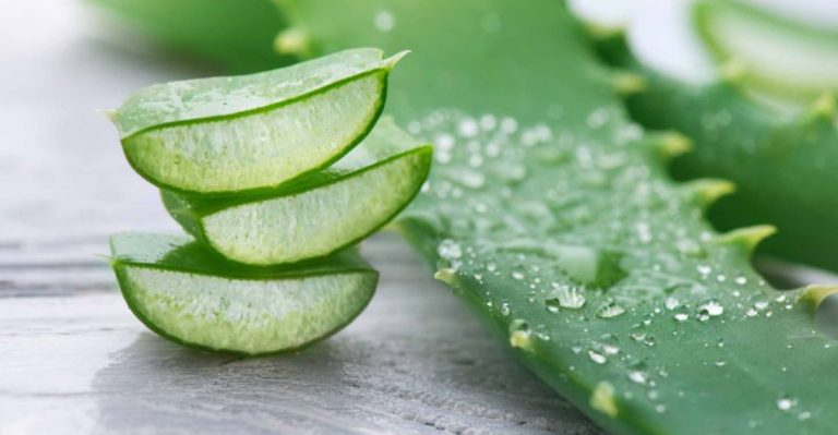 10 Ancient Healing Plants You Can Grow Right in Your Backyard