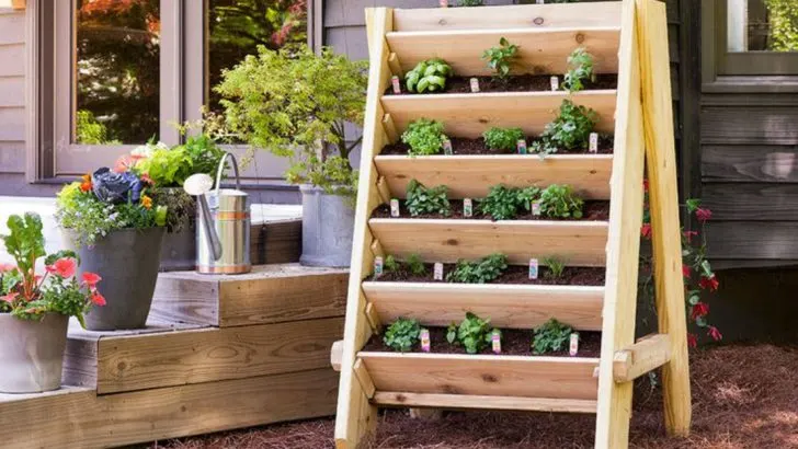 10 Clever Ideas for Small Space Urban Gardening