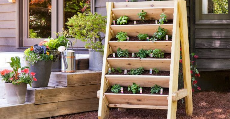 10 Clever Ideas for Small Space Urban Gardening