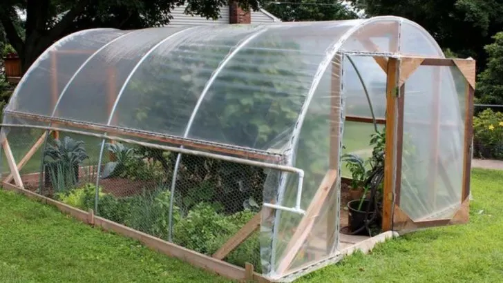 10 Reasons to Start Gardening in a Greenhouse This Year