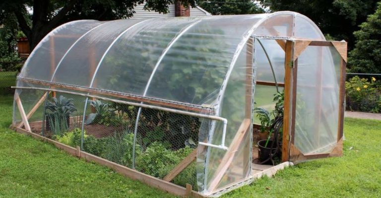 10 Reasons to Start Gardening in a Greenhouse This Year