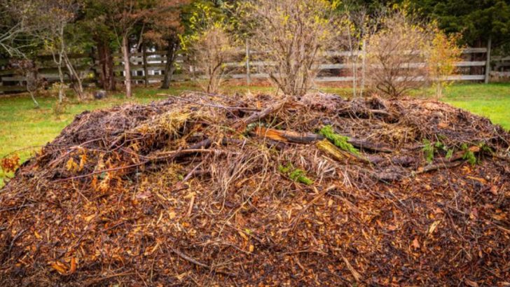 11 Ancient Gardening Techniques That Still Work Better Than Modern Methods