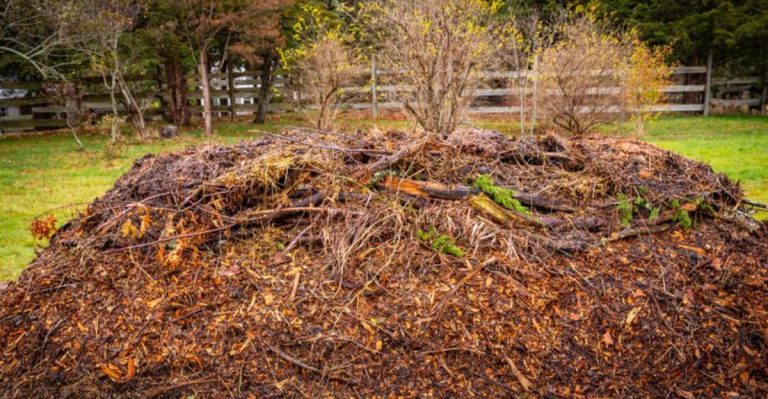 11 Ancient Gardening Techniques That Still Work Better Than Modern Methods