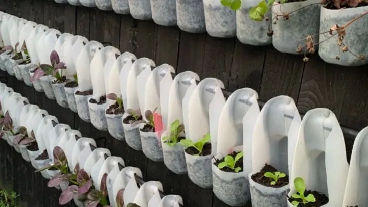 11 Creative Ideas to Create a Vertical Garden in Small Spaces