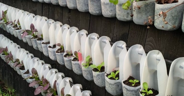 11 Creative Ideas to Create a Vertical Garden in Small Spaces