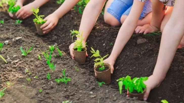 11 Fun Ways to Get Kids Involved in Gardening