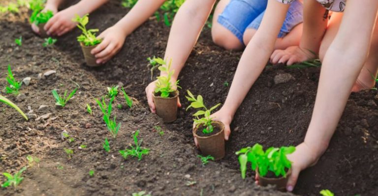 11 Fun Ways to Get Kids Involved in Gardening