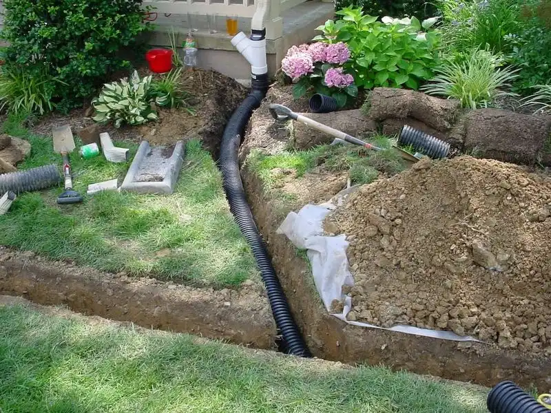 11. Ensure Proper Drainage