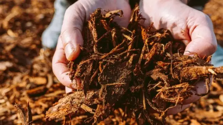 12 Clever Ways to Refresh and Reuse Old Potting Soil