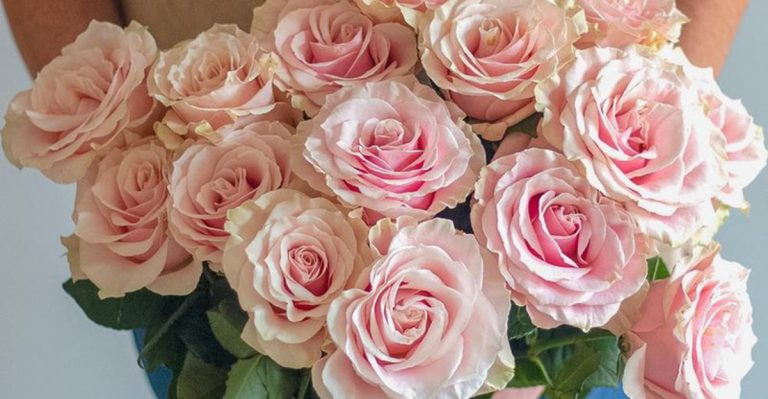12 Proven Methods to Get Rid of Blackspot on Roses