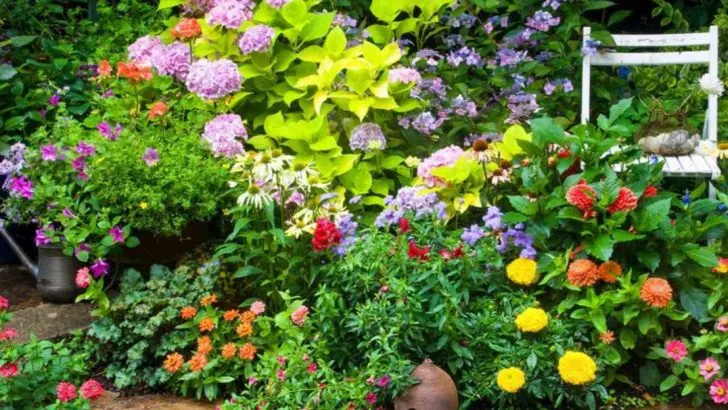 12 Secrets to Enjoying a Spring Garden Full of Columbine Flowers